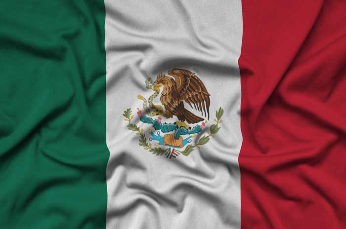 nopal en la bandera de mexico